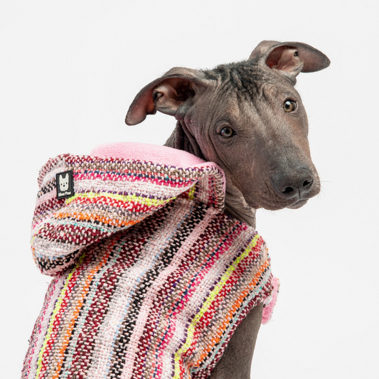 Baja Dog Poncho - Pink - GoldenLux.us