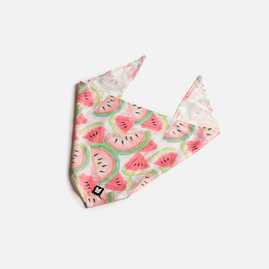 Dog Bandana - Watermelon - GoldenLux.us